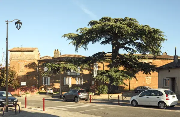 Service Monte Escalier Monte-escalier Aussonne