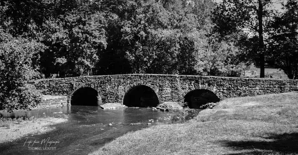 Service Monte Escalier Monte-escalier Azay-le-Brûlé