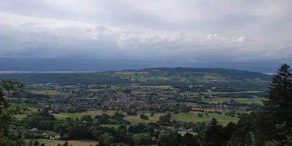 Service Monte Escalier Monte-escalier Bons-en-Chablais