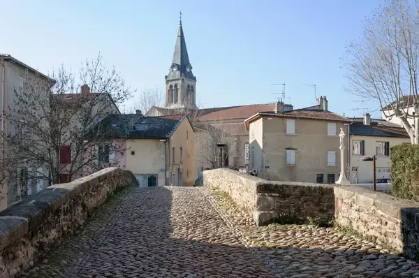 Service Monte Escalier Monte-escalier Brignais