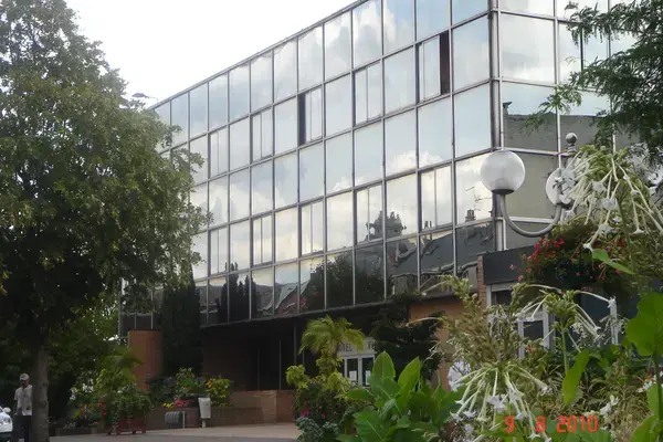 Service Monte Escalier Monte-escalier Denain