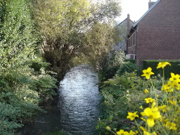 Service Monte Escalier Monte-escalier Déville-lès-Rouen
