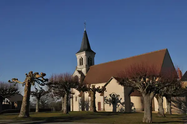 Service Monte Escalier Monte-escalier Fougerolles