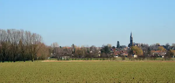 Service Monte Escalier Monte-escalier Halluin