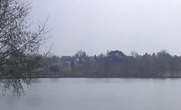 Service Monte Escalier Monte-escalier La Bazoge