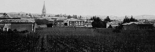 Service Monte Escalier Monte-escalier Limas