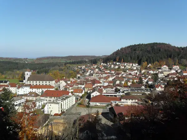 Service Monte Escalier Monte-escalier Maîche