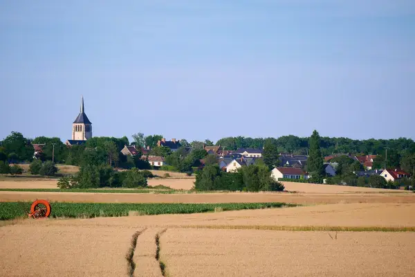 Service Monte Escalier Monte-escalier Mardié