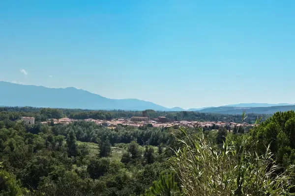 Service Monte Escalier Monte-escalier Millas