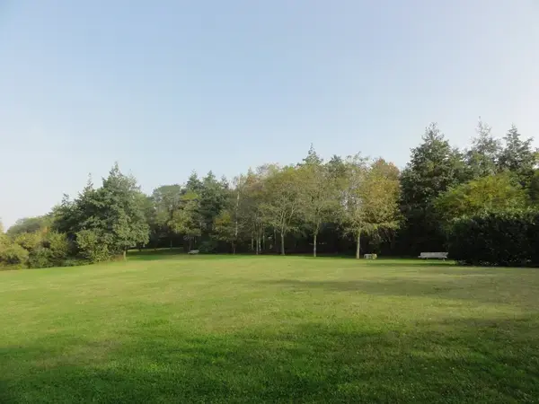 Service Monte Escalier Monte-escalier Montigny-en-Gohelle