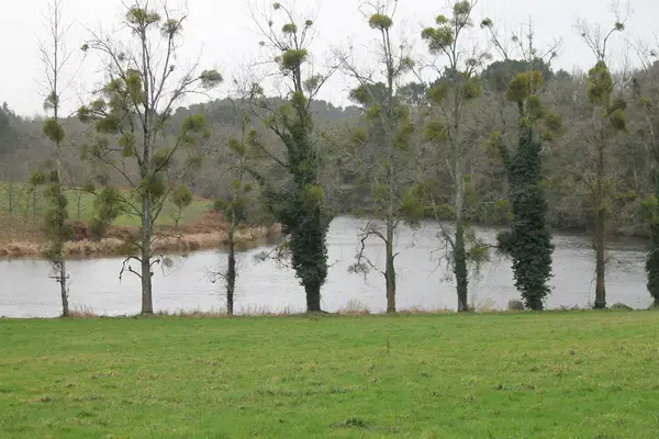 Service Monte Escalier Monte-escalier Muzillac