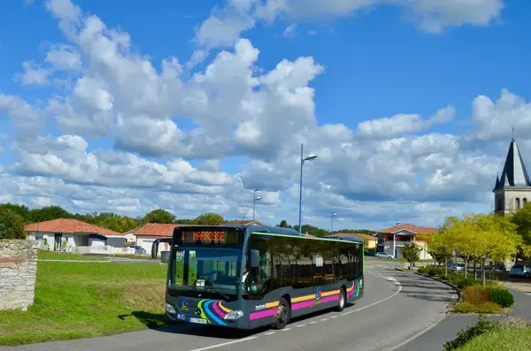 Service Monte Escalier Monte-escalier Narrosse