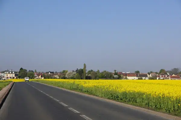 Service Monte Escalier Monte-escalier Noiseau
