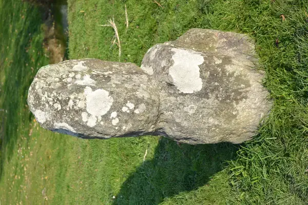 Service Monte Escalier Monte-escalier Prinquiau