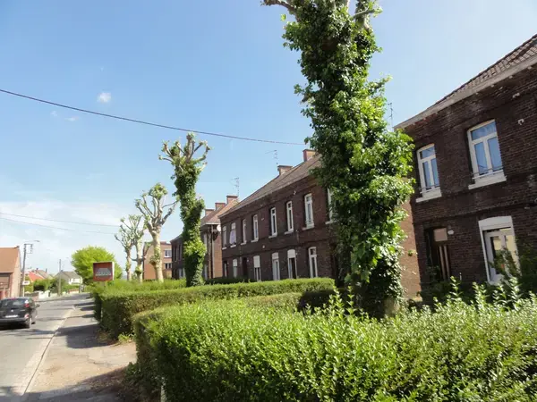 Service Monte Escalier Monte-escalier Quiévrechain