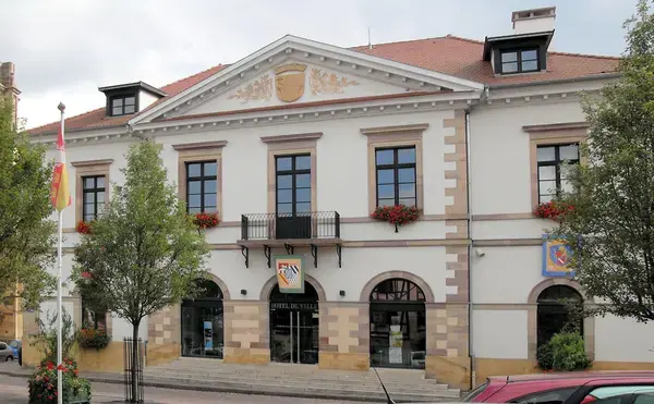 Service Monte Escalier Monte-escalier Rouffach