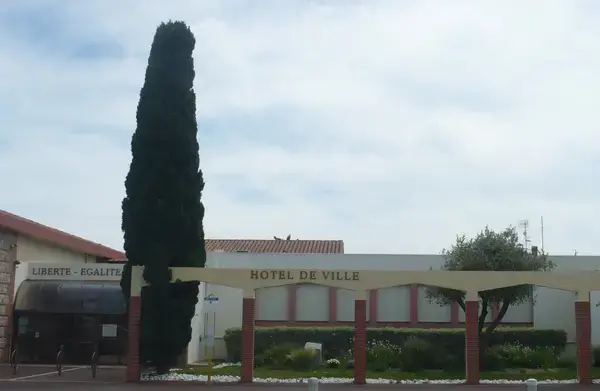 Service Monte Escalier Monte-escalier Saleilles