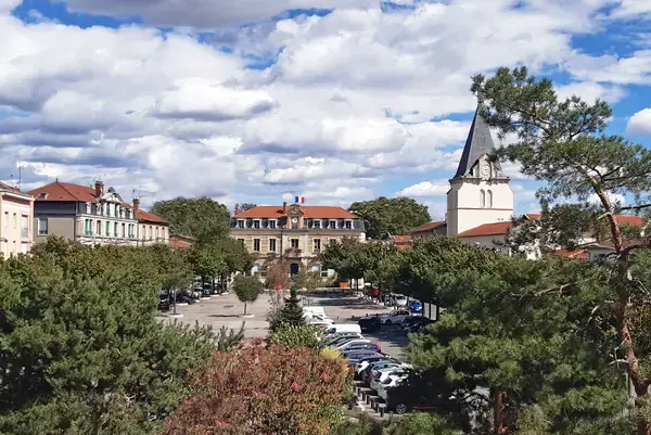 Service Monte Escalier Monte-escalier Vénissieux