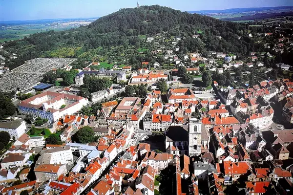 Service Monte Escalier Monte-escalier Vesoul