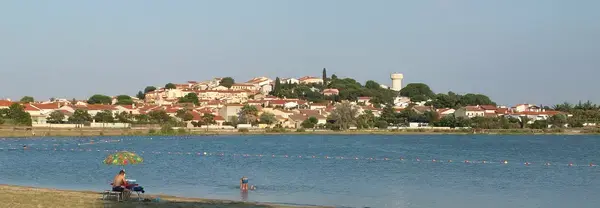 Service Monte Escalier Monte-escalier Villeneuve-de-la-Raho
